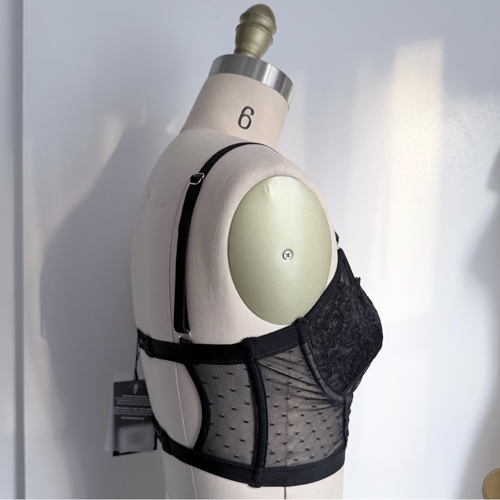Thistle and Spire Brighton Lace Bustier Bra - Picture 6 of 9